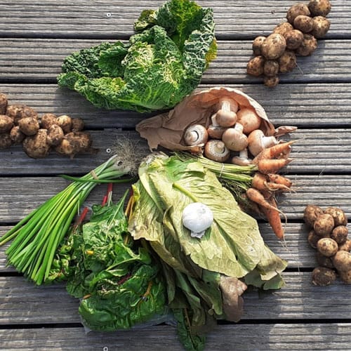 Organic & Specialty Lines